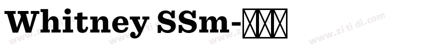 Whitney SSm字体转换
